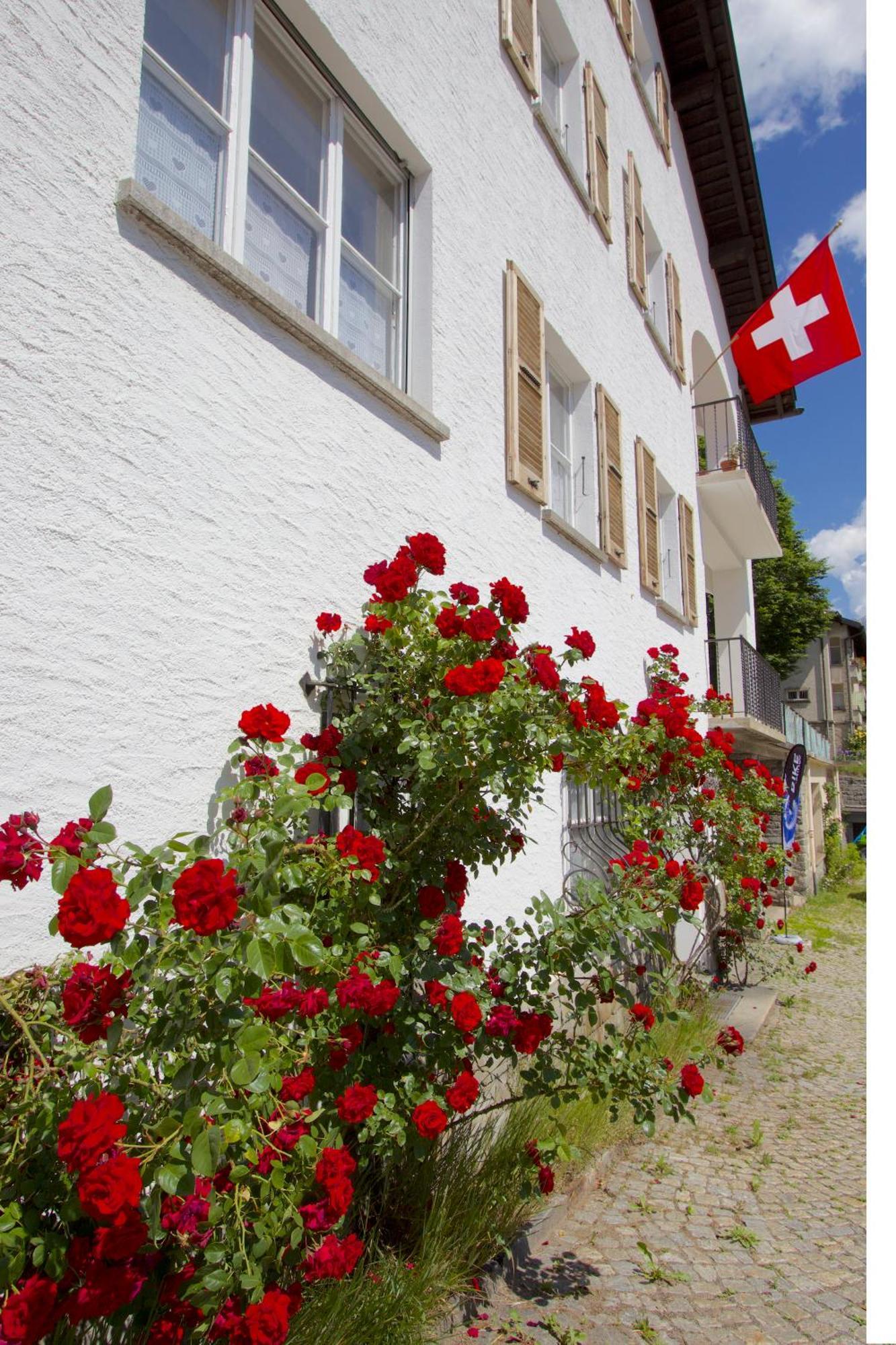Apartment Cuore Delle Alpi Airolo